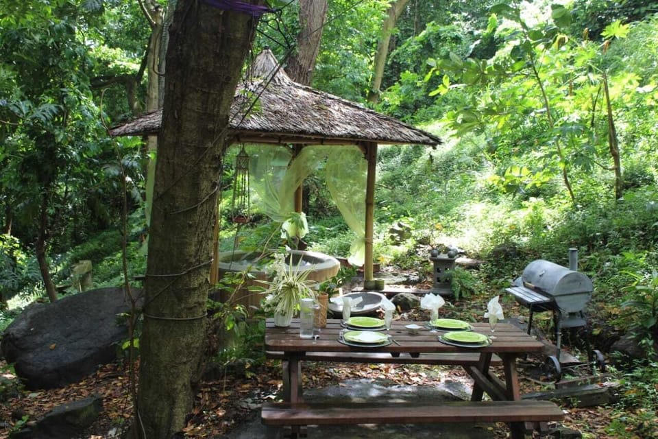 ecolodge Martinique Bed and Breakfast in Fort-de-France