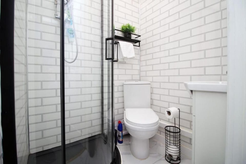 Apartment | Bathroom | Shower, hair dryer, towels