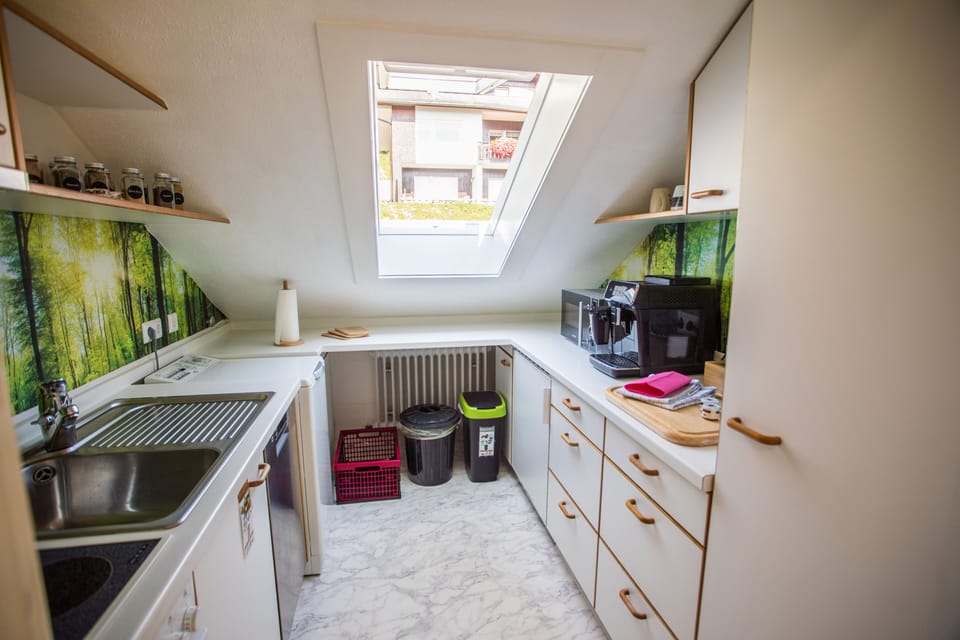 Full-size fridge, microwave, oven, stovetop