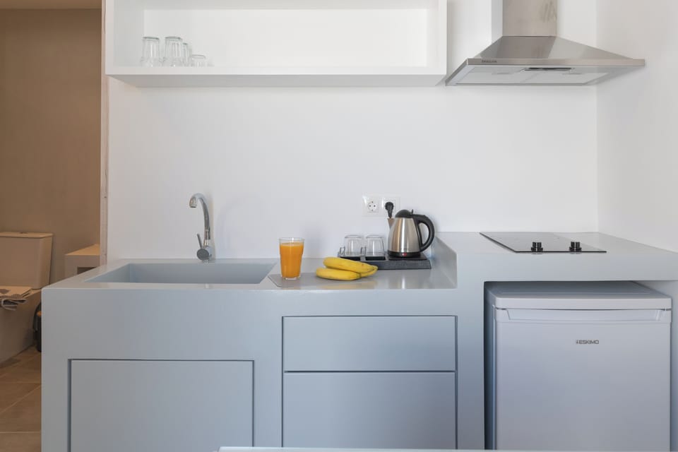Cozy Ground Floor City Studio in Astypalea | Private kitchen | Mini-fridge, cookware/dishes/utensils