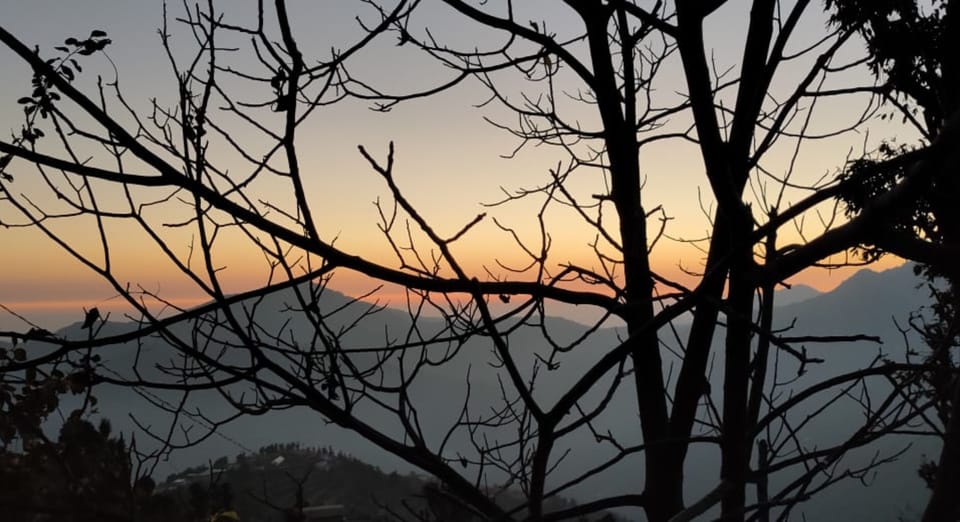 View from property