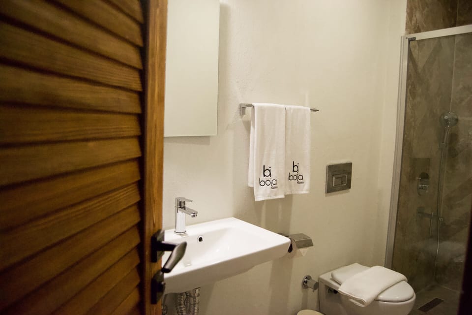 Standard Double Room | Bathroom | Shower, hair dryer, towels, soap