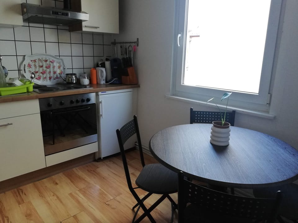 Apartment | Private kitchen | Fridge, microwave, oven, stovetop