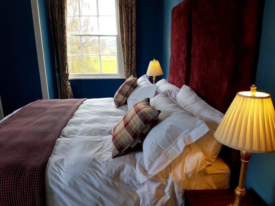Deluxe Double or Twin Room, Garden View | Egyptian cotton sheets, premium bedding, individually decorated
