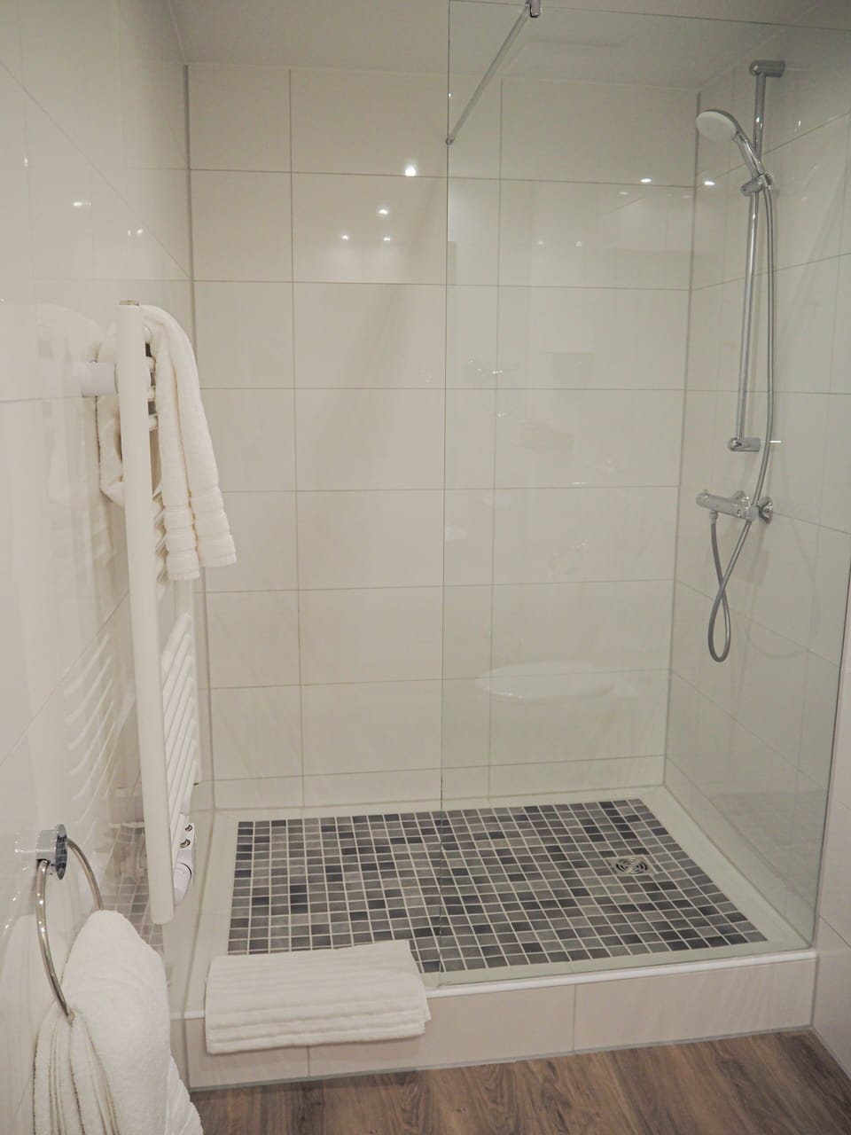 Shower, free toiletries, hair dryer, towels
