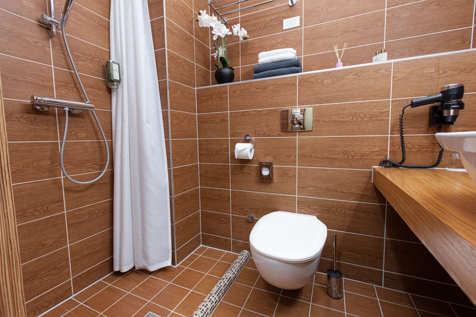 Minibar, desk, WiFi (free), bed sheets