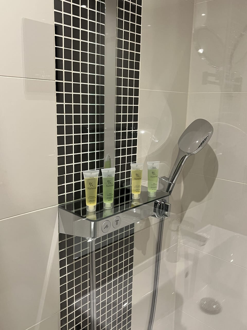 Shower, rainfall showerhead, free toiletries, hair dryer