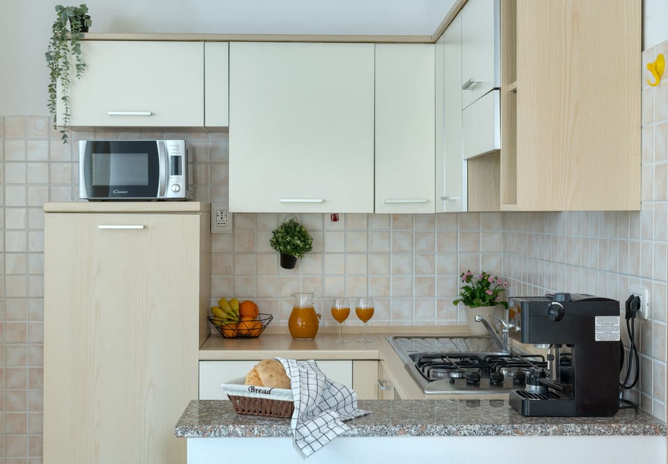 Basic Apartment | Private kitchen | Fridge, microwave, oven, stovetop