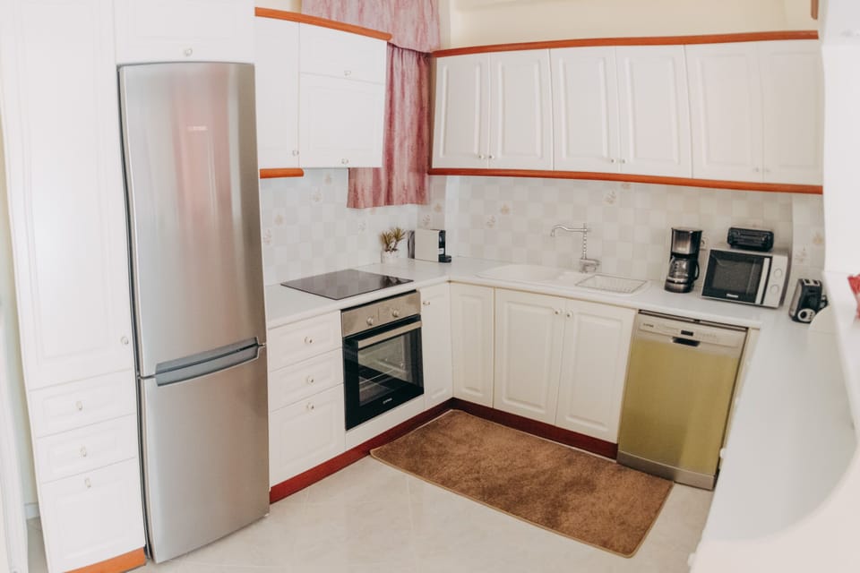 City Apartment, Multiple Bedrooms, Kitchen, City View | Private kitchen | Full-size fridge, microwave, oven, dishwasher