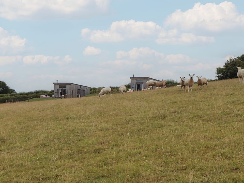 Cottage | Miscellaneous