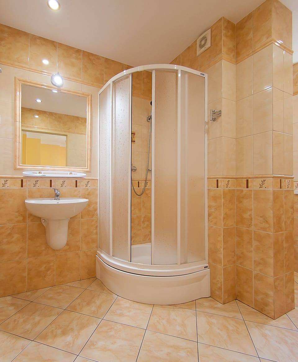 Shower, hair dryer, towels
