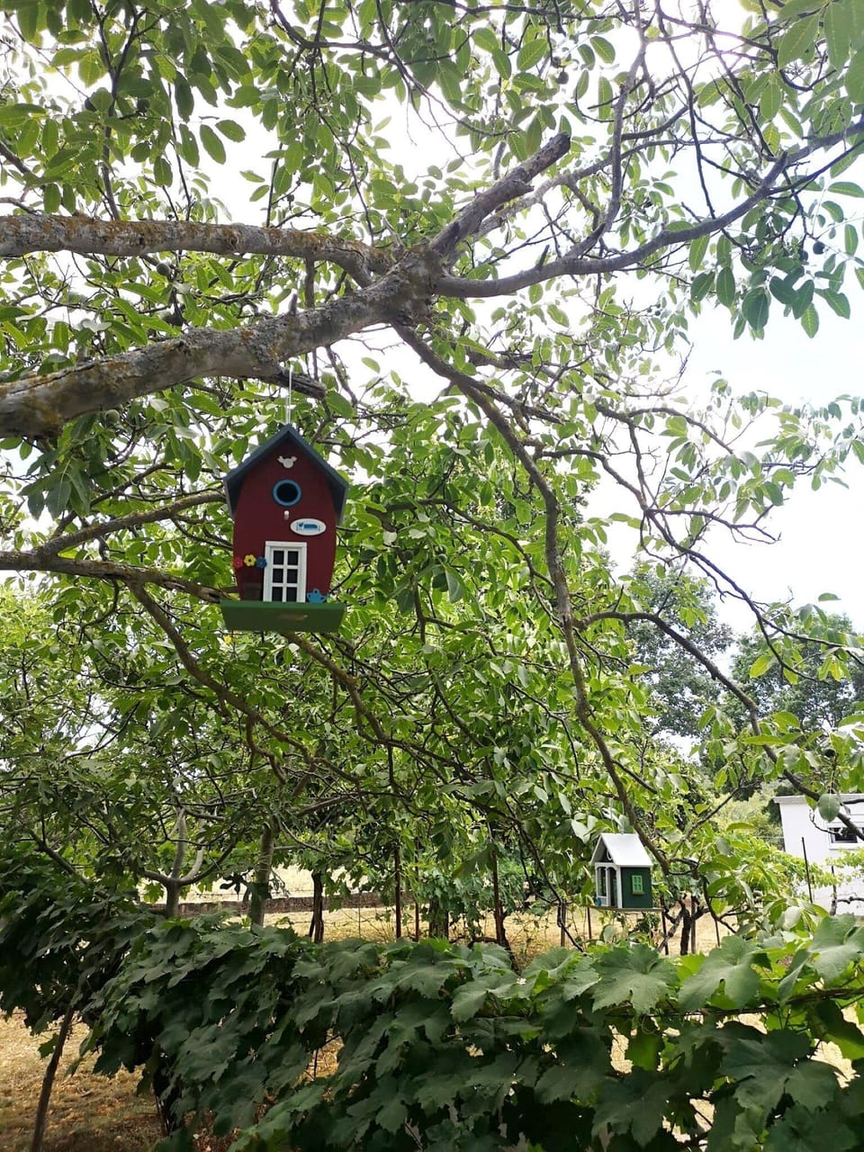 House (Three bedroom Holiday Home with swimm) | Exterior