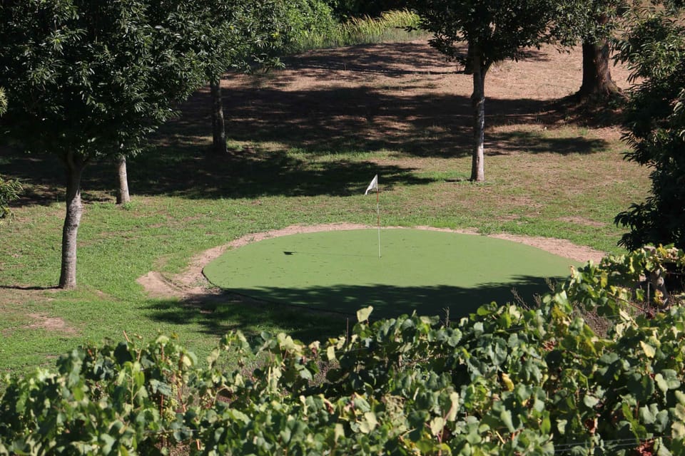 Mini-golf