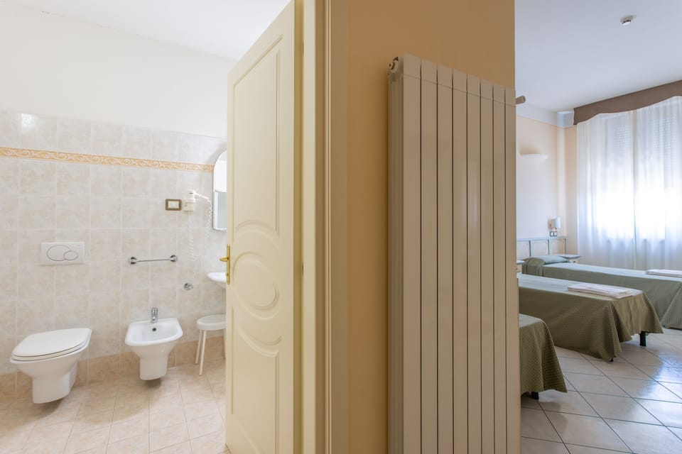 Shower, free toiletries, hair dryer, bidet