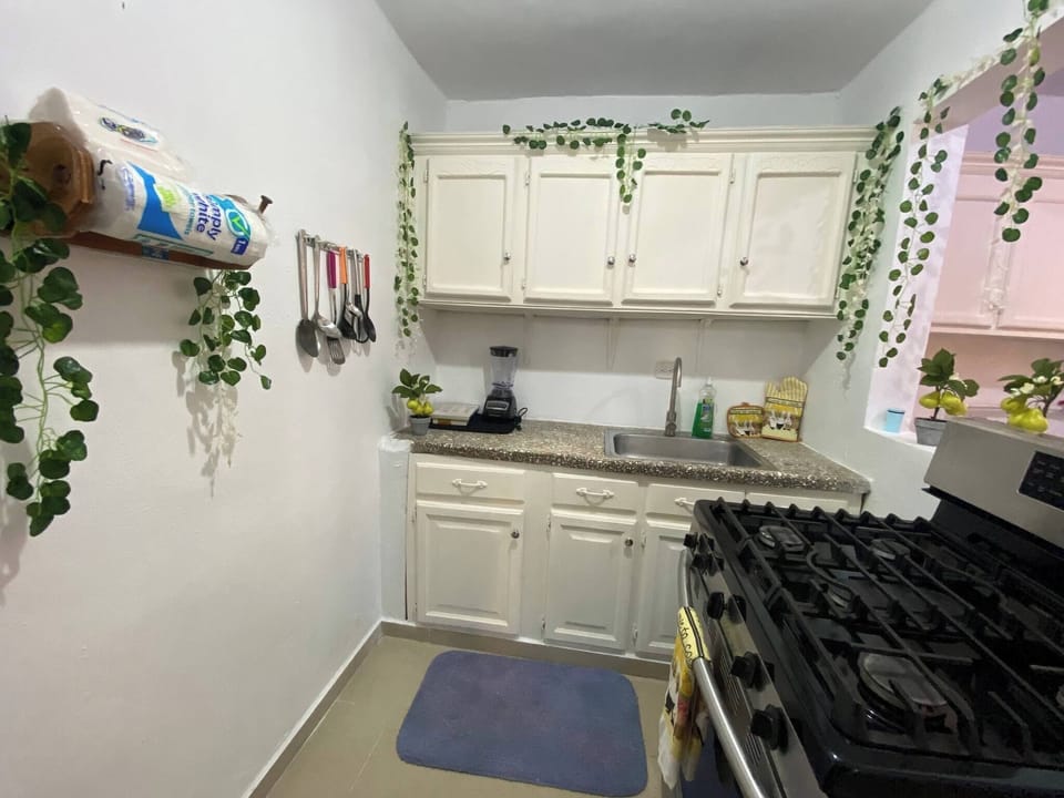 Apartment, 4 Bedrooms, Smoking, Patio | Private kitchen | Coffee/tea maker, stovetop, highchair, dining table