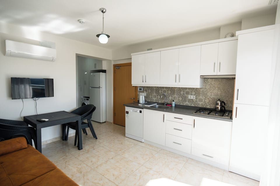 Full-size fridge, stovetop, dishwasher, cookware/dishes/utensils