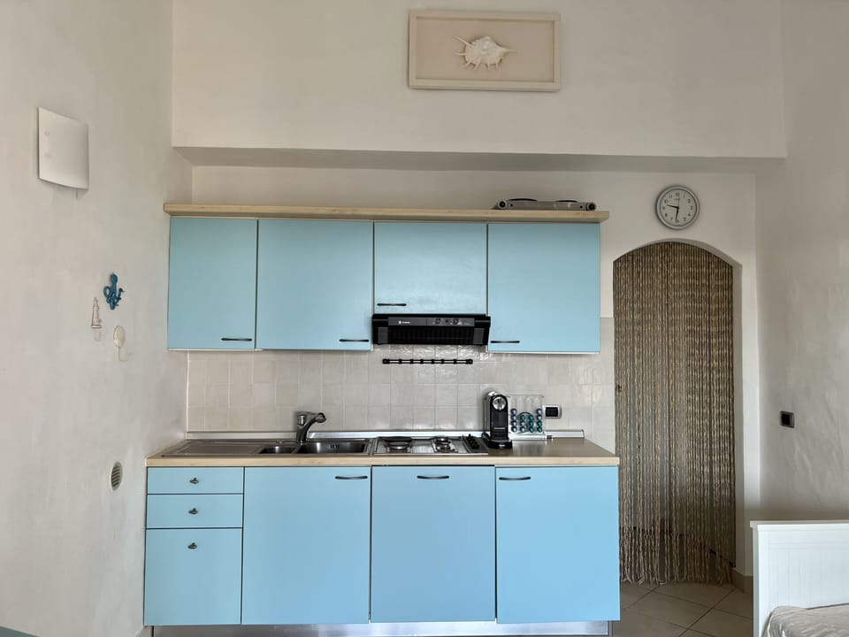 Villa | Private kitchen | Fridge, microwave, stovetop, dishwasher