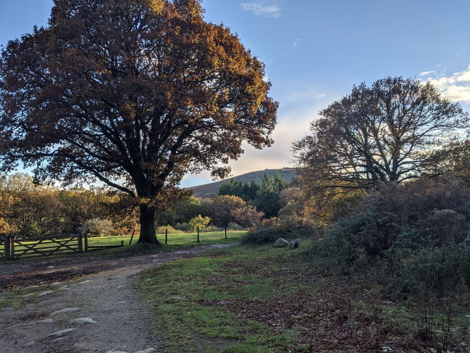 Hiking