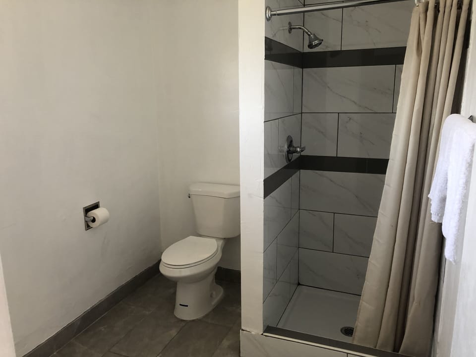 Single Room | Bathroom | Shower, towels