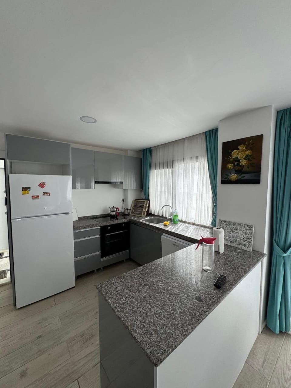 Standard Condo | Private kitchen | Full-size fridge, oven, stovetop, dishwasher