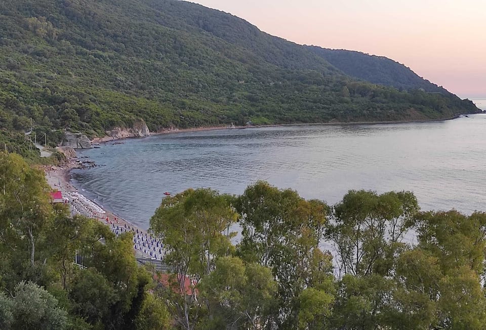 Apartment, 1 Bedroom, Smoking, Terrace | Beach