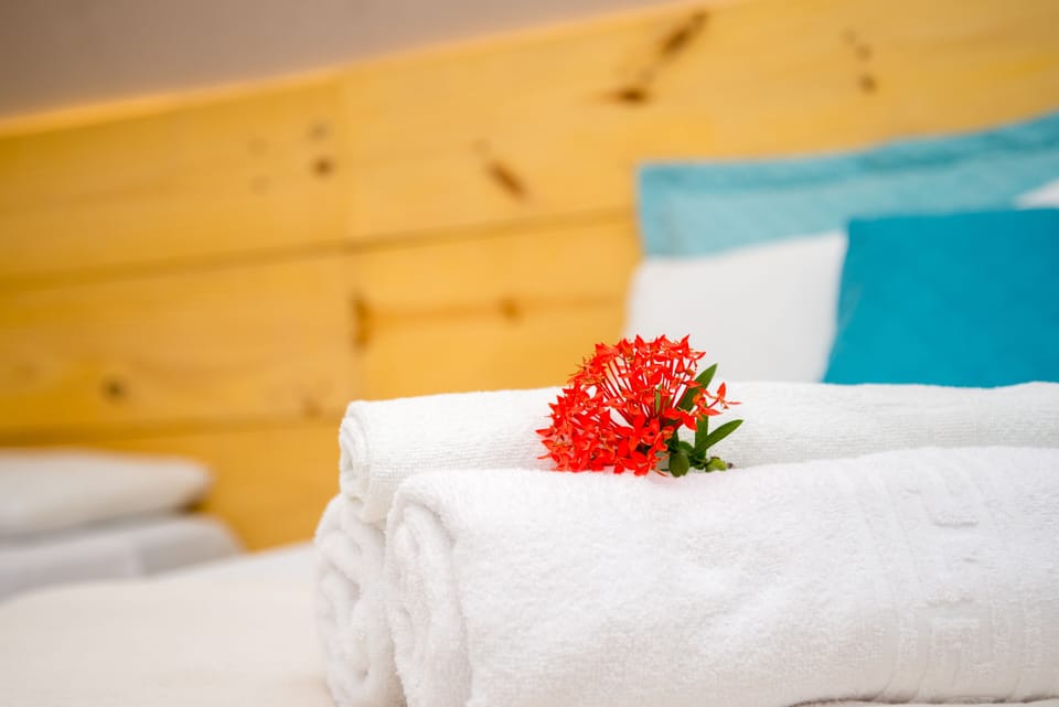 Standard Apartment | Minibar, free WiFi, bed sheets
