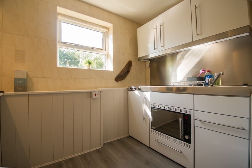 Deluxe Apartment, Ensuite (The Den) | Private kitchen