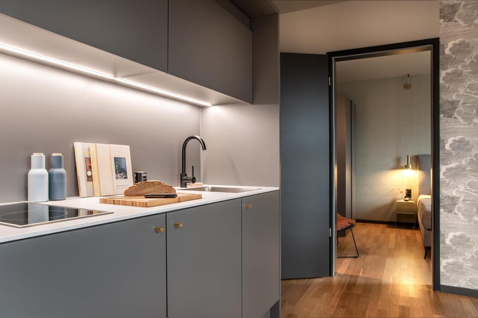 Standard Apartment, 1 Queen Bed, Kitchen (with Sofabed, Full Kitchen) | Private kitchenette | Full-size fridge, microwave, stovetop, dishwasher