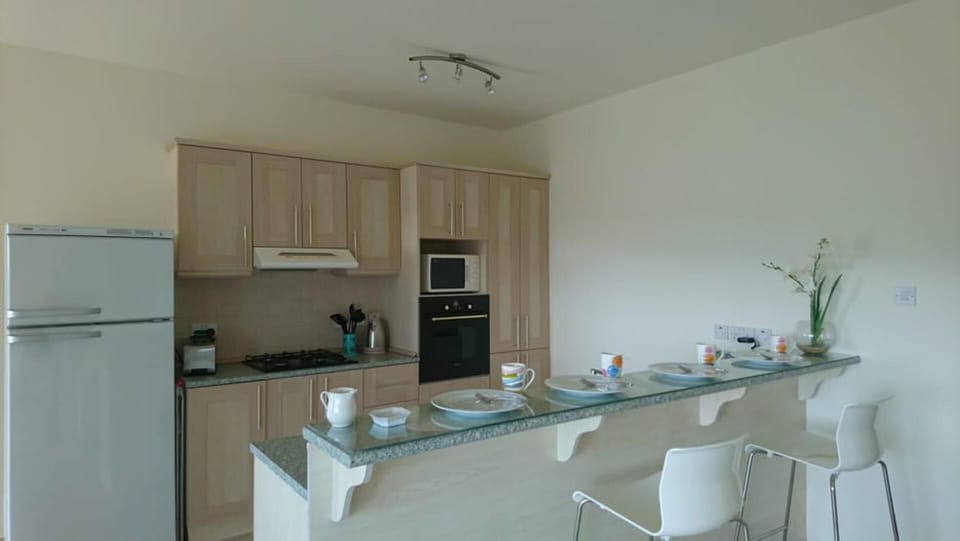 Apartment | Private kitchen | Fridge, microwave, oven, stovetop