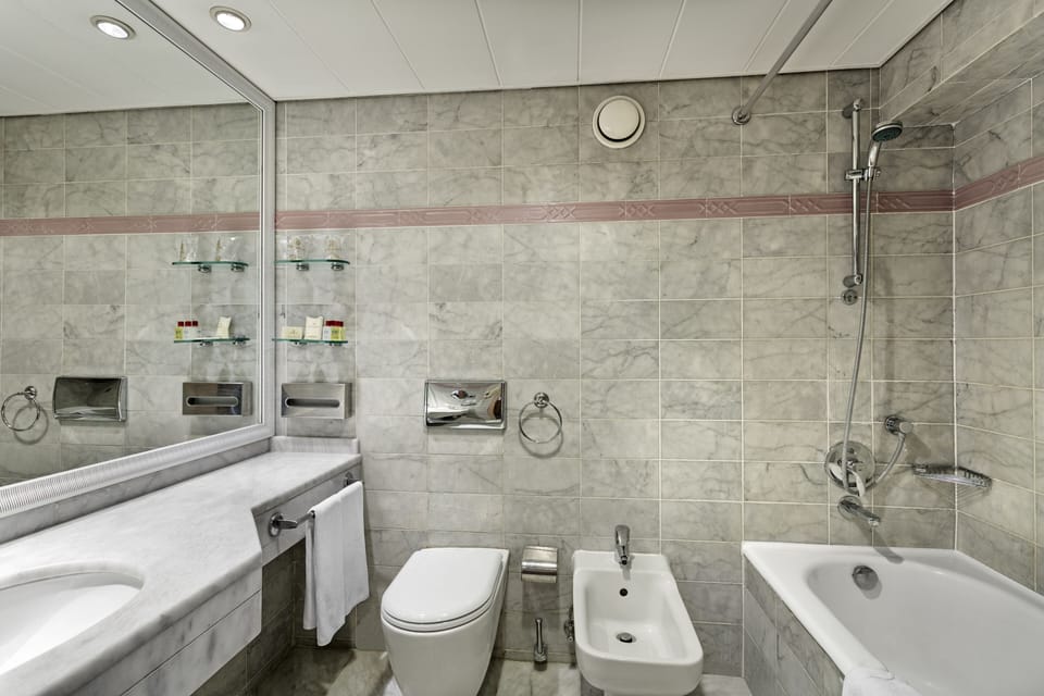 Free toiletries, hair dryer, slippers, bidet