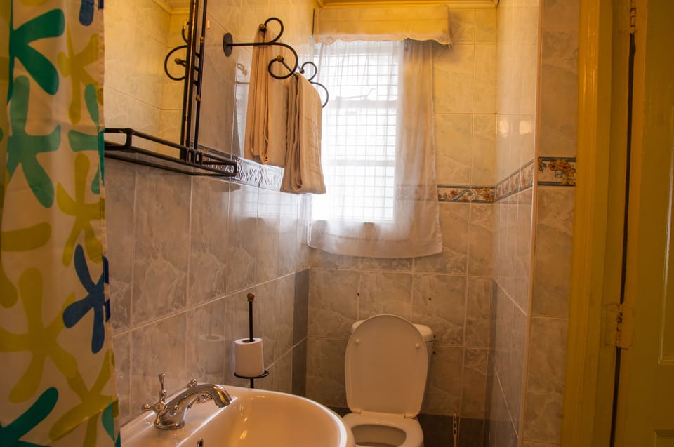 Shower, free toiletries, hair dryer (on request), slippers