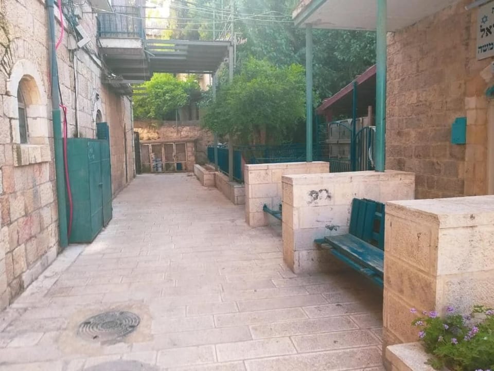 Basic Apartment | Terrace/patio