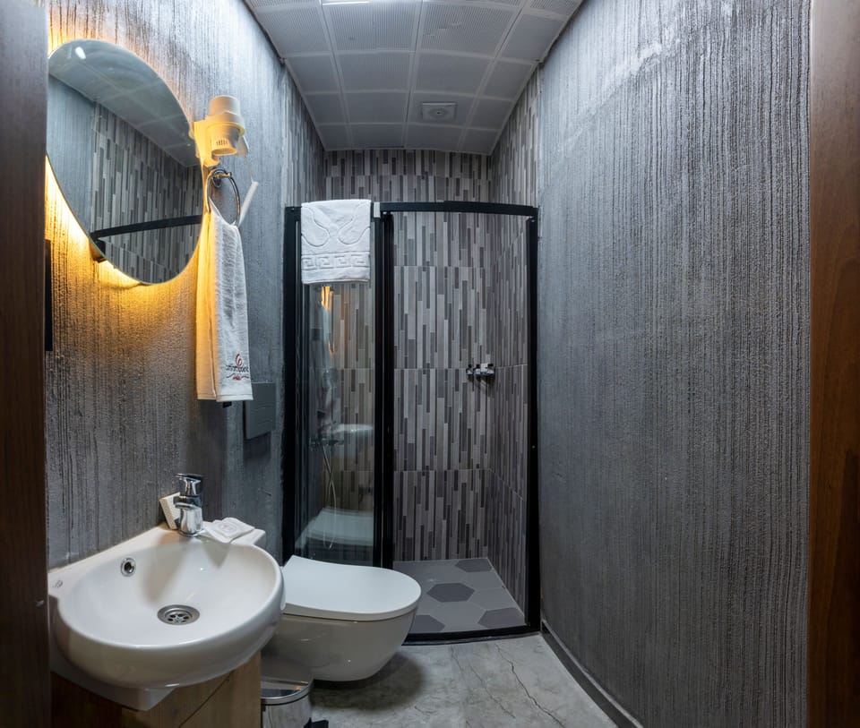 Shower, rainfall showerhead, hair dryer, slippers