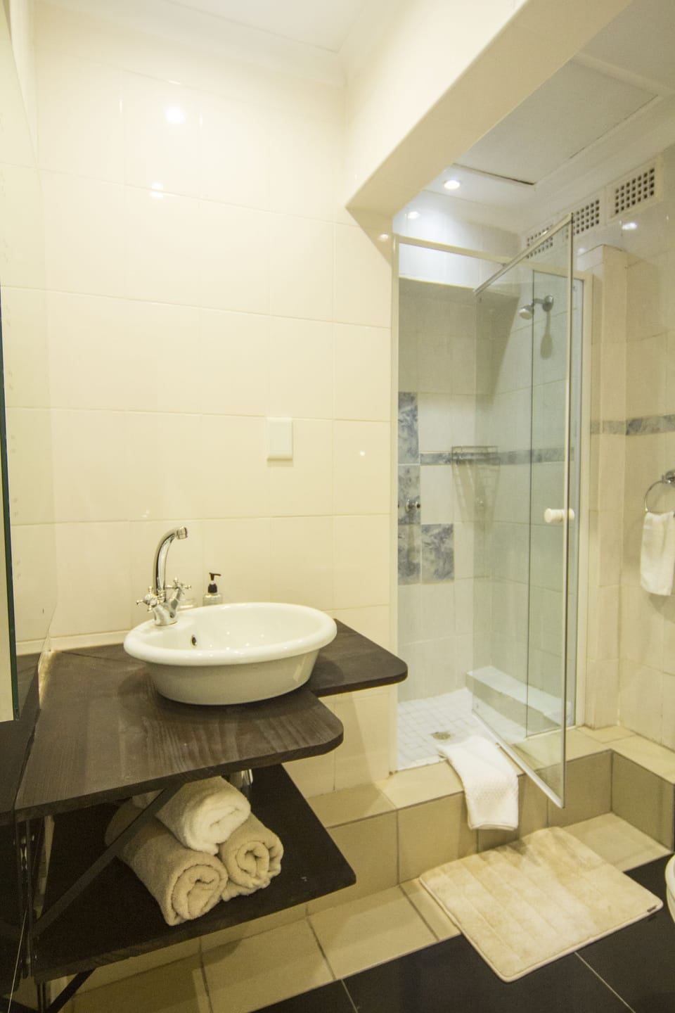 The Black Eagle | Bathroom amenities | Shower, free toiletries, hair dryer, towels
