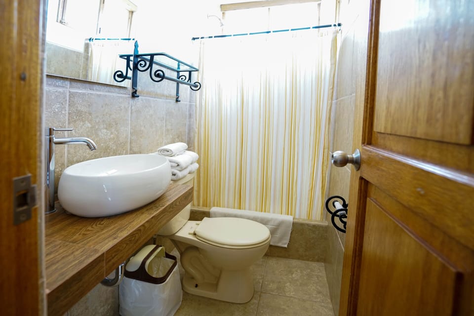 Shower, hair dryer (on request), towels