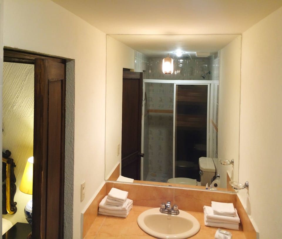 Shower, eco-friendly toiletries, hair dryer, towels
