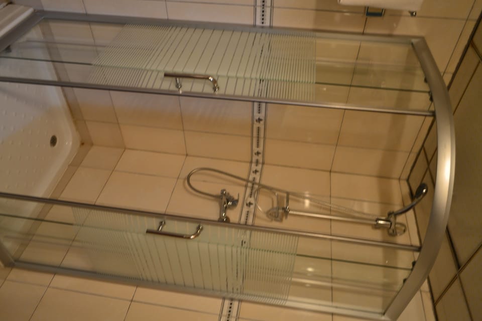 Standard Double Room | Bathroom | Shower, free toiletries, hair dryer, bidet