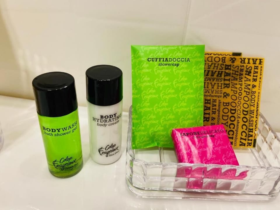 Shower, free toiletries, hair dryer, bidet