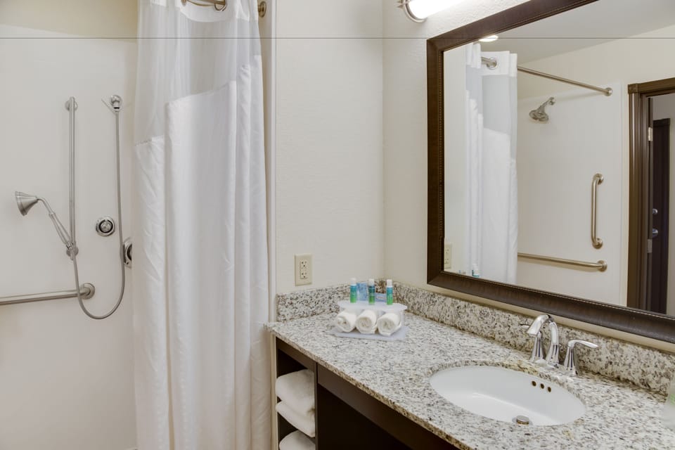 Standard Room, 1 King Bed, Accessible (Communications, Roll-In Shower) | Desk, iron/ironing board, free cribs/infant beds, rollaway beds