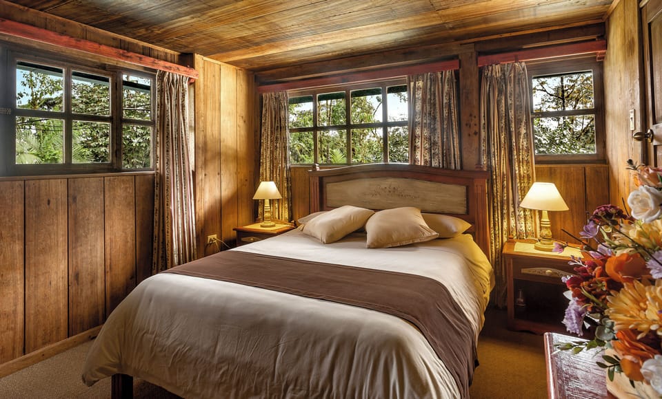 Single Room | Down comforters, desk, blackout drapes, WiFi (free)