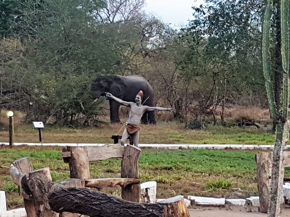 Game viewing