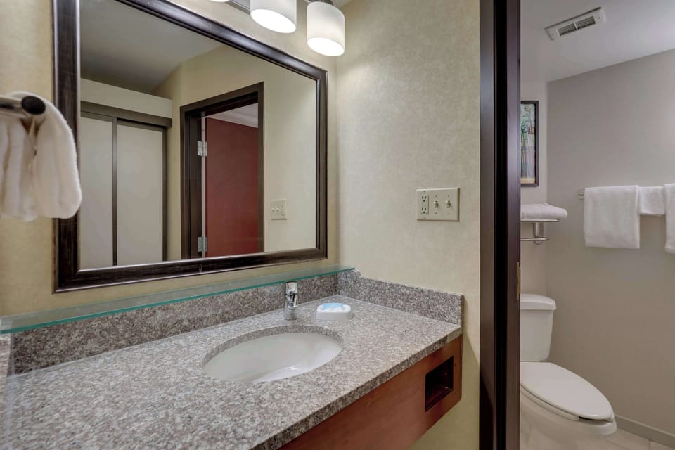 Combined shower/tub, free toiletries, hair dryer, towels