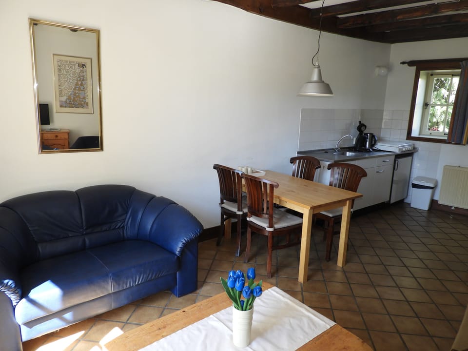 Standard House | Living room | Flat-screen TV