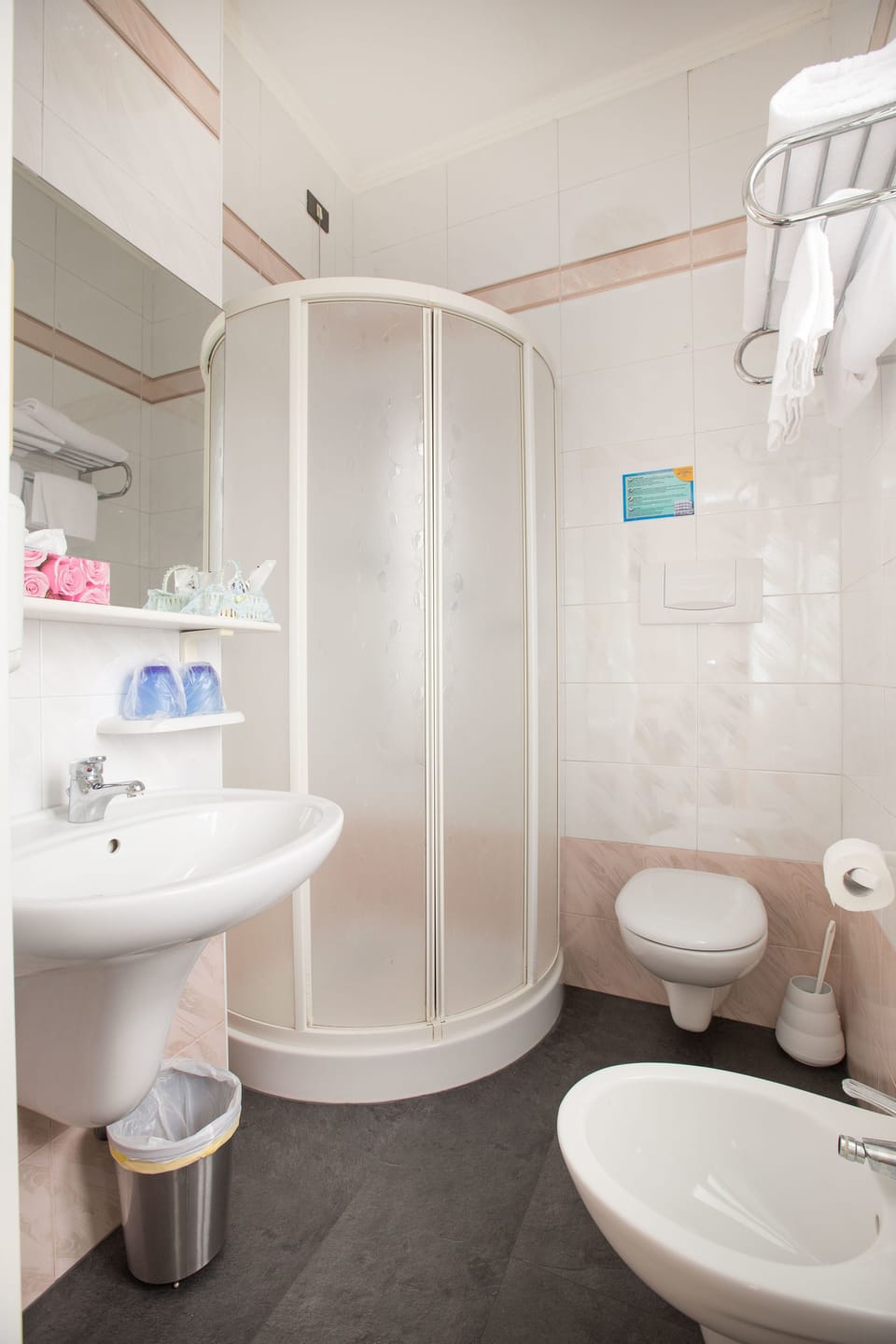 Shower, free toiletries, hair dryer, bidet