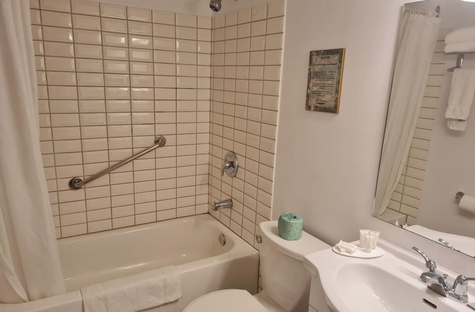 Classic Room, 2 Double Beds, Canal View | Bathroom | Combined shower/tub, free toiletries, hair dryer, towels