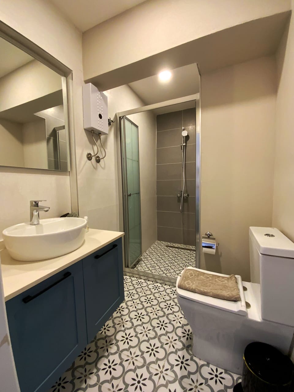 Shower, towels, soap, toilet paper