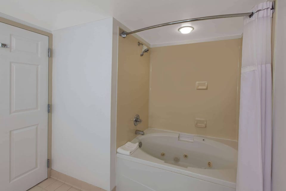 Eco-friendly toiletries, hair dryer, towels