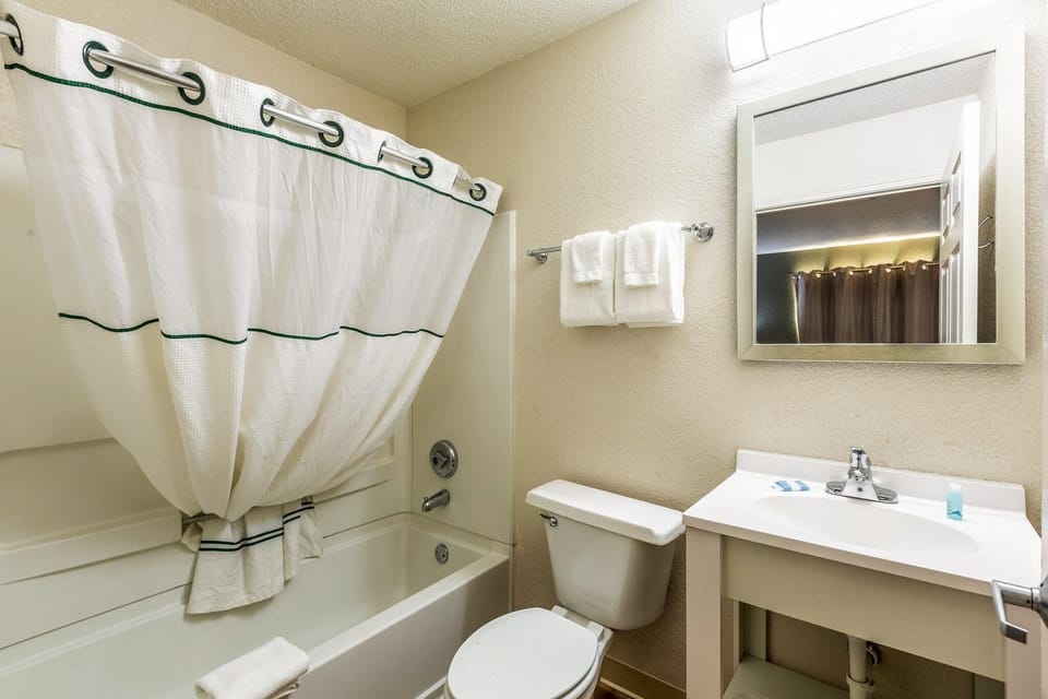 Studio, 2 Double Beds, Non Smoking (Renovated) | Bathroom | Combined shower/tub, towels, soap, shampoo