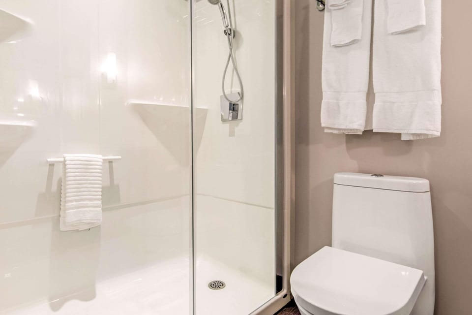 Combined shower/tub, free toiletries, hair dryer, towels