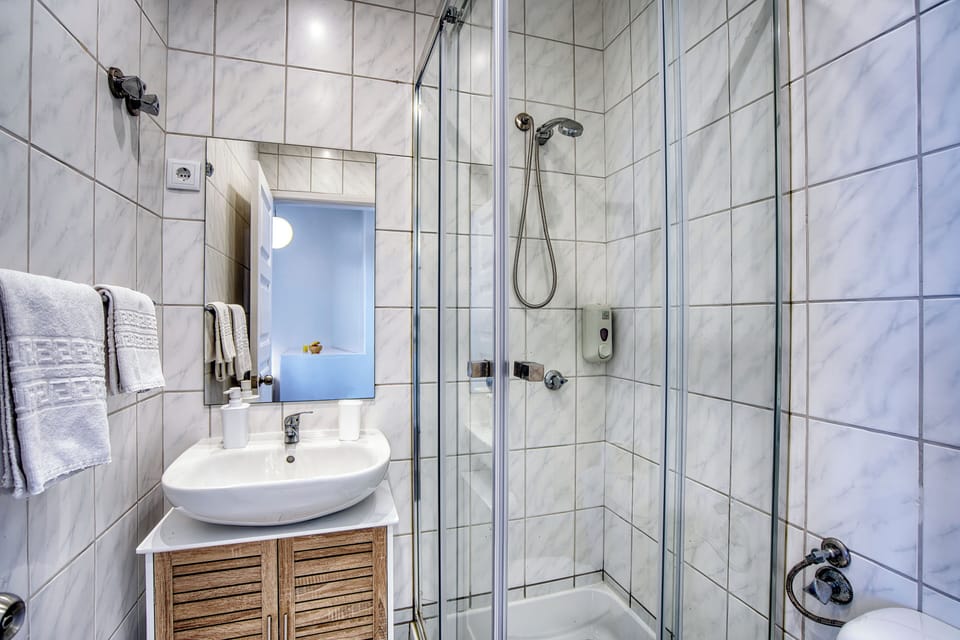 Standard Double Room | Bathroom | Shower, free toiletries, hair dryer, towels